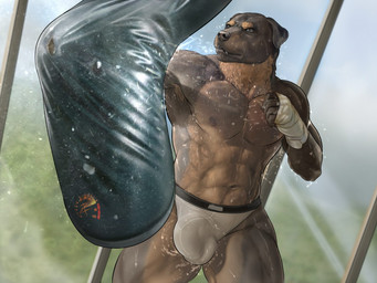 5_fingers abs action_pose anthro balls_outline biceps big_muscles biped bodily_fluids bottomwear brown_body brown_fur brown_nipples brown_nose bulge clothed clothing day detailed_background detailed_bulge dust dutch_angle exercise fingers fist floppy_ears flying_sweatdrops front_view fur genital_outline grey_eyes hand_wraps huge_muscles inside light male multicolored_body multicolored_fur muscular muscular_anthro muscular_male navel nipples overbite particles pecs penis_outline pose punch punching_bag quads skimpy snout solo standing sunlight sweat sweatdrop thick_thighs tight_underwear topless triceps two_tone_body two_tone_fur underwear white_bottomwear white_clothing white_underwear workout wraps zorro_re sebastian_(tobijones) canid canine canis domestic_dog kangal livestock_guardian_dog mammal mastiff molosser mountain_dog pastoral_dog rottweiler 2017 4:3 digital_media_(artwork) portrait three-quarter_portrait