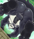 anthro anus balls below_subject black_body black_fur bodily_fluids butt dripping erection feet foot_focus foreskin forest fur genital_fluids genitals humanoid_genitalia humanoid_penis low-angle_view male moobs nipples overweight overweight_anthro overweight_male paws penis perineum plant precum precum_drip soles solo sweat tree wall_(structure) worm's-eye_view el_booki nintendo pokemon bear generation_6_pokemon mammal pangoro pokemon_(species) absurd_res hi_res