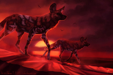 ambiguous_gender desert duo feral outside sunset johis african_wild_dog avian bird canid canine mammal