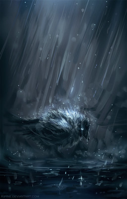 ambiguous_gender beak black_body black_feathers blue_eyes feathers feral outside raining solo text water wet kipine avian bird corvid jackdaw oscine passerine dark_theme hi_res url