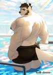 anthro back_muscles big_muscles black_bottomwear black_clothing black_pants bottomwear clothing eyebrows huge_muscles looking_at_viewer male muscular muscular_anthro muscular_male pants pecs rainbow sky solo swimming_pool tail thick_eyebrows white_body white_tail doooo2424 canid canine canis mammal wolf hi_res