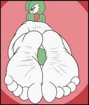 5_toes feet foot_fetish foot_focus humanoid_feet lying not_furry on_front plantigrade soles solo toes wrinkles zoom_in kyudude nintendo pokemon gardevoir generation_3_pokemon pokemon_(species) absurd_res hi_res