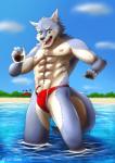 2018 5_fingers abs anthro black_pawpads blue_sky bulge canid canine clothing cloud day fingers fur grey_body grey_fur hi_res humanoid_hands legs_in_water looking_down male mammal multicolored_body multicolored_fur muscular muscular_anthro muscular_male nipples open_mouth outside partially_submerged pawpads red_clothing red_swimwear sky solo submerged_legs swimwear tan_body tan_fur teeth tori2tea two_tone_body two_tone_fur wardrobe_malfunction water