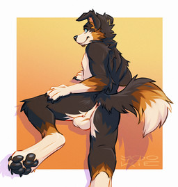 anthro anus arm_tuft balls black_body black_claws black_fur black_nose black_pawpads blue_eyes brown_markings cheek_tuft claws closed_smile elbow_tuft facial_tuft fur genitals gradient_background knee_tuft leg_tuft male male_anthro markings mouth_closed neck_tuft nude pawpads perineum shoulder_tuft simple_background smile solo tuft white_balls white_body white_fur yookie canid canine canis domestic_dog mammal adversarial_noise hi_res