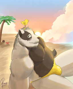 beach black_body black_fur black_nose clothed clothing cloud coconut drupe_(fruit) eye_markings food fruit fur markings nipples palm_tree plant solo speedo speedo_only sunset swimwear topless tree white_body white_fur yellow_clothing yellow_speedo yellow_swimwear raion_b echo_(series) echo_project the_smoke_room nikolai_krol ambient_arthropod ambient_crab ambient_crustacean ambient_sealife badger european_badger mammal meles mustelid musteline 2025 colored hi_res signature