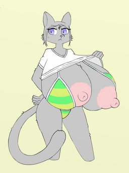 anthro areola big_areola big_breasts big_nipples bikini breasts clothing female fur grey_body grey_fur huge_areola huge_breasts huge_nipples hyper hyper_breasts nipples pink_areola pink_nipples purple_eyes shirt simple_background solo swimwear topwear two-piece_swimsuit wafflecat domestic_cat felid feline felis mammal character_request hi_res