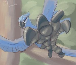 anatomically_inaccurate anatomically_inaccurate_feet avian_feet beak black_beak black_feet black_talons blue_body blue_eyes blue_feathers branch claws eyelashes feathers feet female feral foot_focus half-closed_eyes narrowed_eyes plant solo talons toes tree y-dactyl lulon blue_sky_studios rio_(series) jewel_(rio) avian bird macaw neotropical_parrot parrot spix's_macaw true_parrot absurd_res hi_res signature sketch