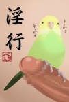 ambiguous_gender avian_feet beak duo erection feral genitals humanoid_genitalia humanoid_penis male penis text what petaroh avian bird budgerigar human loriinae mammal parakeet parrot true_parrot censored japanese_text mosaic_censorship