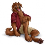 4_toes 5_fingers anthro barefoot biped black_nose blue_eyes bottomwear brown_body brown_fur claws clothed clothing collared_shirt digitigrade dress_shirt feet fingers fur hand_on_leg male open_clothing open_mouth open_smile partially_clothed rolled_up_sleeves shirt shorts simple_background sitting smile solo tail toes tongue topwear whiskers white_background blackteagan colby bird_dog canid canine canis domestic_dog golden_retriever hunting_dog mammal retriever