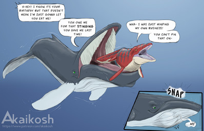 baleen blue_stripes cetacean_tail dialogue feral green_eyes grey_body in_mouth male open_mouth oral_vore red_body red_fins red_tail speech_bubble stripes tail talking_feral teeth text vore white_fin yellow_eyes akaikosh ardi_(darthardios) aquatic baleen_whale cetacean humpback_whale mammal whale 2026 english_text watermark