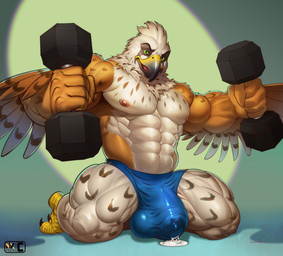 abs anthro avian_feet beak biceps big_bulge big_muscles big_pecs bodily_fluids brown_body brown_feathers bulge claws clothed clothing cum cum_in_clothing cum_in_underwear cum_through_clothing cum_through_underwear detailed_bulge dumbbell exercise feathers genital_fluids genital_outline genitals green_eyes huge_bulge male muscular pecs penis penis_outline shirtless_male solo thick_penis underwear underwear_only weightlifting weights wet wet_clothing wet_underwear workout nexus avian bird falcon falconid hi_res