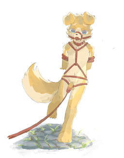 4_toes anthro arm_tuft ball_gag ball_leash balls bdsm black_nose blue_eyes bondage bound circumcised collar eyebrows facial_tuft feet floppy_ears fluffy fluffy_tail fur gag genital_leash genitals glans hands_behind_back hands_tied hip_tuft humanoid_genitalia humanoid_penis inner_foreskin kemono leash male multicolored_body multicolored_fur navel nude_anthro nude_male pawpads penis red_collar red_glans red_leash restraints rope rope_bondage rope_harness shoulder_tuft simple_background solo standing tail toes tuft two_tone_body two_tone_fur walking white_background white_body white_eyebrows white_fur yellow_balls yellow_body yellow_fur regcron crowl_(regcron) canid canine canis domestic_dog mammal 2025 hi_res