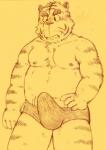 anthro belly bulge clothed clothing erection erection_under_clothing humanoid_hands male moobs navel nipples overweight overweight_anthro overweight_male solo underwear kondo_musashi musabo3neo felid mammal pantherine tiger 2017