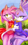 bottomless clothed clothing coat dress duo female forehead_gem gem green_eyes looking_at_viewer provocative sitting smile smiling_at_viewer smirk smirking_at_viewer tongue tongue_out topwear yellow_eyes nahadon sega sonic_the_hedgehog_(series) amy_rose blaze_the_cat humanoid 5:8