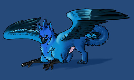 anthro balls beak black_body blue_back blue_body blue_eyes blue_feathers blue_fur erection feathered_wings feathers feral fur genitals male male_feral penis pink_penis solo standing tail wings blajn mythology issira avian gryphon mythological_avian mythological_creature 2014 5:3