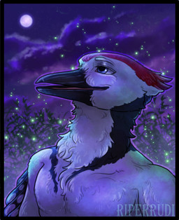 anthro beak black_body black_feathers blue_eyes cloud detailed_background feathers full_moon light male moon multicolored_body multicolored_feathers neck_tuft night open_mouth outside plant red_body red_feathers sky smile solo star starry_sky text tongue tuft white_body white_feathers wings riperrudi layvan avian bird picid woodpecker 2025 artist_name bust_portrait detailed digital_media_(artwork) hi_res portrait