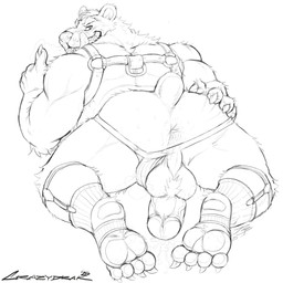 anthro anus barazoku bodily_fluids butt clothing clothing_aside cum cum_in_ass cum_inside genital_fluids harness jockstrap jockstrap_aside licking licking_lips licking_own_lips looking_at_viewer male muscular muscular_anthro muscular_male narrowed_eyes open_mouth open_smile overweight overweight_anthro overweight_male pawpads presenting presenting_anus presenting_hindquarters rear_view simple_background smile solo tongue tongue_out underwear underwear_aside crazydrak bearrick_(benzo) bear mammal 1:1 2025 dated hi_res monochrome signature sketch