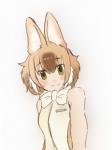 2019 animal_humanoid bare_shoulders biped blush bow_(feature) bow_tie breasts brown_ears brown_hair brown_highlights bust_portrait canid canid_humanoid canine canine_humanoid clothed clothing dhole_(kemono_friends) dhole_humanoid eyebrow_through_hair eyebrows female foreshortening fully_clothed hair hatching_(art) head_tilt hi_res highlights_(coloring) humanoid iceeye_ena japanese kemono_friends light_body light_skin looking_at_viewer mammal mammal_humanoid multicolored_hair perspective pointy_ears portrait prick_ears shaded shadow shirt short_hair simple_background smile solo tan_body tan_hair tan_skin topwear translucent translucent_hair two_tone_hair white_background white_clothing white_hair white_highlights white_shirt white_topwear yellow_eyes