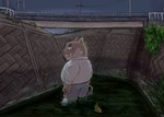 anthro belly biped bottomwear clothing detailed_background humanoid_hands kemono male night outside pants river shirt slightly_chubby solo topwear saturn_ribbon odd_taxi kensuke_shibagaki_(odd_taxi) mammal suid suina sus_(pig) wild_boar 2022