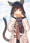 ambiguous_gender blush brown_eyes brown_hair clothing eating food hair jacket scarf smile solo topwear ran'ou_(tamago_no_kimi) animal_humanoid felid felid_humanoid humanoid mammal mammal_humanoid 2019 hi_res