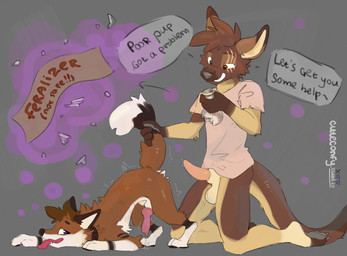 animal_genitalia animal_penis anthro anthro_on_feral ass_up balls bestiality bodily_fluids canine_genitalia canine_penis clothing duo erection feral fur genital_fluids genitals knot male male/male male_anthro male_feral penis precum scar sheath shirt tail tail_grab tapering_penis tongue tongue_out topwear conditional_dnp cuteconfy canid canine fox kangaroo macropod mammal marsupial hi_res