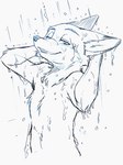 anthro fur looking_at_viewer male open_mouth open_smile shower simple_background smile solo water white_background dogear218 disney zootopia nick_wilde canid canine fox mammal red_fox true_fox 2021 3:4 hi_res monochrome