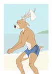 anthro antlers beach clothed clothing horn humor looking_at_viewer male seaside solo sport swimwear topless volleyball water 9x9 deer mammal hi_res