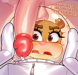 anthro armor big_penis blush bodily_fluids brown_body brown_eyes brown_fur buckteeth dialogue diving_suit duo erection eyebrows eyelashes female frown fur genital_fluids genitals headgear helmet looking_at_genitalia looking_at_penis male male/female open_mouth penis pink_nose precum speech_bubble teeth text zexlynk nickelodeon spongebob_squarepants sandy_cheeks eastern_grey_squirrel grey_squirrel mammal rodent sciurid tree_squirrel 2026 absurd_res artist_name english_text hi_res