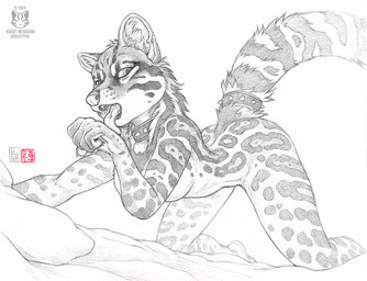 accessory all_fours anthro breasts collar female fur furgonomics inner_ear_fluff jewelry licking looking_at_viewer markings nude open_mouth personal_grooming ring self_lick solo spiked_collar spikes spots spotted_body spotted_fur tail tail_accessory tail_jewelry tail_ring tongue tongue_out tuft kacey felid feline leopardus mammal ocelot 2024 graphite_(artwork) greyscale monochrome traditional_media_(artwork)