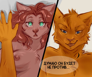 anthro breasts close-up dialogue duo female female_anthro female_focus looking_at_another looking_at_viewer male male/female pose surprised talking_to_another text danawolfin canid canine canis domestic_cat domestic_dog felid feline felis mammal 6:5 absurd_res colored comic digital_drawing_(artwork) digital_media_(artwork) hi_res shaded translation_check translation_request