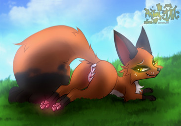 anus butt female feral fur genitals grass grin humanoid_genitalia humanoid_genitalia_on_feral humanoid_vulva humanoid_vulva_on_feral leg_markings lying markings orange_body orange_fur pawpads paws plant presenting presenting_vulva rear_view smile socks_(marking) solo vulva yellow_eyes astralia nintendo pokemon canid canine fox generation_8_pokemon mammal nickit pokemon_(species) hi_res watermark