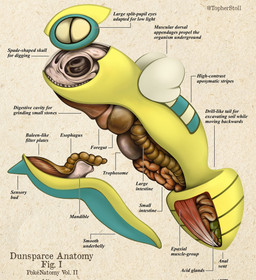 ambiguous_gender anatomical_diagram anatomical_study anatomy anatomy_chart bone chart cross_section cutaway feral guts intestines organs paper_background side_view simple_background skull solo tan_background teal_body teeth text twitter_handle white_body x-ray_view yellow_body christopher_stoll nintendo pokemon pokenatomy dunsparce generation_2_pokemon pokemon_(species) 2022 biological_illustration copyright_name digital_drawing_(artwork) digital_media_(artwork) english_text exploded-view_drawing full-length_portrait hi_res portrait technical_illustration