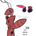 antennae_(anatomy) anthro anus balls dark_balls femboy genitals male oc_sheet red_body red_skin smile smirk solo ted-simp oscar_(ted-simp) ant arthropod hymenopteran insect 1:1 hi_res