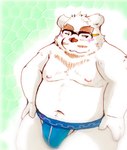 anthro bulge clothing eyewear fur glasses humanoid_hands kemono male moobs navel nipples overweight overweight_anthro overweight_male solo underwear white_body white_fur snow_utamaru bear mammal 2021 hi_res