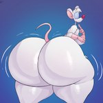 anthro big_butt blue_eyes butt chest_tuft huge_butt huge_thighs hyper hyper_butt hyper_thighs looking_down male open_mouth raised_tail red_nose solo tail thick_thighs thin_neck tuft white_body schplingnops pinky_and_the_brain warner_brothers pinky_(warner_brothers) mammal mouse murid murine rodent 1:1 2024 absurd_res digital_drawing_(artwork) digital_media_(artwork) hi_res signature