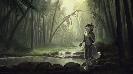 anthro backpack black_hair black_nose blue_eyes bottomwear cheek_tuft closed_smile clothed clothing creek facial_tuft forest front_view fur glistening glistening_eyes grass grey_body grey_bottomwear grey_clothing grey_fur grey_pants hair inner_ear_fluff male mouth_closed outside pants plant rock short_hair shrub smile solo topless tree tuft white_body white_fur white_inner_ear_fluff mylafox canid canine canis mammal wolf 16:9 2019 dated signature widescreen