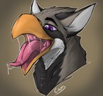 beak bodily_fluids feral male mouth_shot open_beak open_mouth saliva solo tongue tongue_out capseys mythology avian gryphon mythological_avian mythological_creature hi_res