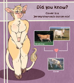 5_fingers anthro blush breasts featureless_breasts female fingers fur hooves humanoid_hands navel nude nude_anthro nude_female smile solo standing tail tan_body tan_fur text kantachibli clover_(kantachibli) bovid bovine cattle mammal mixed_breed english_text hi_res reference_image