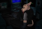 ambiguous_gender anthro clothed clothing computer electronics fur hacker hacking hair hoodie laptop looking_at_viewer smile solo topwear bluwolfie42 aardvark canid canine mammal 2017 digital_media_(artwork)