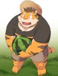 anthro bottomwear clothing food fruit hat headgear headwear humanoid_hands male melon one_eye_closed plant shirt shorts slightly_chubby solo straw_hat topwear watermelon wink ayame42612 felid mammal pantherine tiger 2017