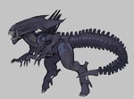 biped black_body claws curvy_figure digitigrade eyeless female feral inner_mouth multi_limb open_mouth simple_background solo tail teeth thick_thighs wide_hips carvarior alien_(franchise) alien xenomorph xenomorph_queen absurd_res digital_media_(artwork) hi_res