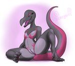 female genitals pussy likeablemouse nintendo pokemon generation_7_pokemon pokemon_(species) salazzle nsfw hi_res