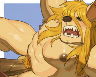 anthro big_penis blonde_hair erection eyes_closed fangs fur genitals hair humanoid_genitalia humanoid_penis long_hair male nude_anthro nude_male open_mouth pecs penis pubes sharp_teeth solo tan_body tan_fur teeth vein veiny_penis yawn yellow_body mrkeypoo canid canine mammal 5:4 hi_res