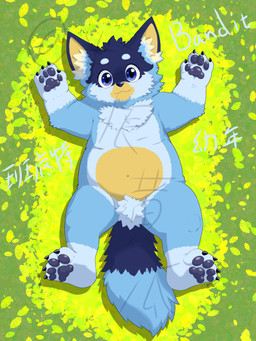 blue_body blue_claws blue_eyes blue_fur blue_inner_ear_fluff blue_nose blue_pawpads claws day fur grass inner_ear_fluff looking_at_viewer lying male multicolored_body multicolored_fur navel on_back outside pawpads plant solo text tuft young guiqin bluey_(series) bandit_heeler australian_cattle_dog canid canine canis cattledog domestic_dog herding_dog mammal pastoral_dog 3:4 absurd_res hi_res shaded