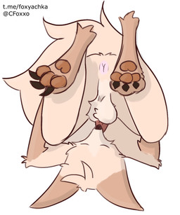 anthro autofellatio balls genitals male masturbation oral oral_masturbation pawpads paws penile penile_masturbation simple_background simple_coloring solo white_background cutiefoxxo canid canine fox mammal 5:6
