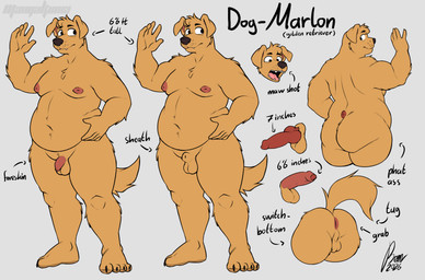 4_toes 5_fingers alternate_species animal_genitalia animal_penis anthro anus average_penis backsack balls belly black_nose butt canine_genitalia canine_penis erection feet fingers flaccid foreskin fur genitals glans hindpaw humanoid_hands male navel nipples nude overweight overweight_anthro overweight_male partially_retracted_foreskin paws penis realistic_penis_size rear_view sheath simple_background solo standing tail tan_body tan_fur text toes unretracted_foreskin manyakuma marlon_(manyakuma) bird_dog canid canine canis domestic_dog golden_retriever hunting_dog mammal retriever 2026 absurd_res english_text hi_res model_sheet