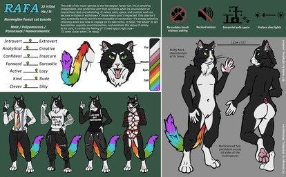 andromorph anthro bdsm bondage bound clothed clothing gag green_eyes intersex multicolored_tail natural_colors nude restraints ring_gag rope rope_bondage rope_harness smile solo tail text text_on_clothing sydney_onmars domestic_cat felid feline felis mammal norwegian_forest_cat absurd_res english_text hi_res model_sheet
