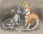 alternate_species balls blonde_hair blue_eyes duo female genitals green_eyes hair looking_back_at_self male male/female nude pawpads penis pink_nose pink_pawpads pussy flinters alyssa_(tyvulpine) tyvulpine american_opossum mammal mammal_taur marsupial marsupial_taur taur virginia_opossum 2023 5:4 digital_media_(artwork) hi_res