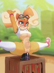 2023 2d_animation abdominal_bulge activision animated anthro bandicoot bikupan bite biting_lip biting_own_lip bodily_fluids breasts clothing coco_bandicoot crash_bandicoot_(series) crop_top dildo eyewear eyewear_on_head female genital_fluids genitals goggles goggles_on_head heart_eyes heart_symbol looking_pleasured mammal marsupial masturbation motion_tweening penetration pussy ray_jff self_bite sex sex_toy shirt short_playtime solo spread_legs spreading text thick_thighs third-party_edit topwear under_boob vaginal vaginal_fluids vaginal_masturbation vaginal_penetration