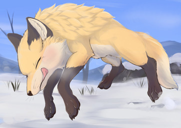 4_toes ambiguous_gender black_body black_claws black_nose black_pawpads brown_body brown_fur cheek_tuft claws countershade_torso countershading day detailed_background digitigrade dipstick_ears dipstick_tail ear_markings eyes_closed facial_tuft feet feral fluffy fur gloves_(marking) grass inner_ear_fluff leg_markings licking licking_lips licking_own_lips lips markings multicolored_body multicolored_ears multicolored_fur multicolored_tail orange_body orange_fur outside pawpads paws pink_tongue plant quadruped self_lick sky snow socks_(marking) solo tail tail_markings tan_body tan_fur toe_claws toes tongue tongue_out tuft whiskers white_body white_fur winter yellow_body yellow_fur fusau canid canine fox mammal red_fox true_fox 2022 absurd_res detailed digital_media_(artwork) hi_res